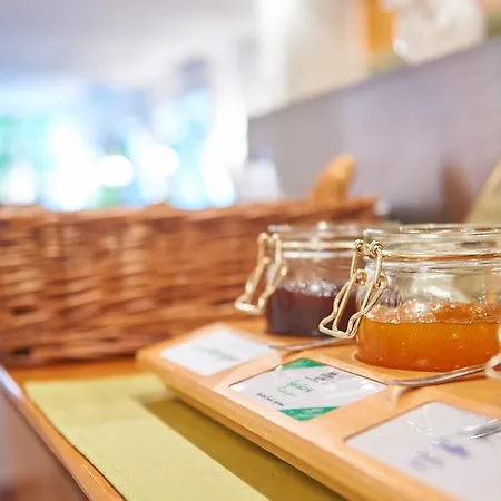 Insel-hotel-lindau 酒店 林道