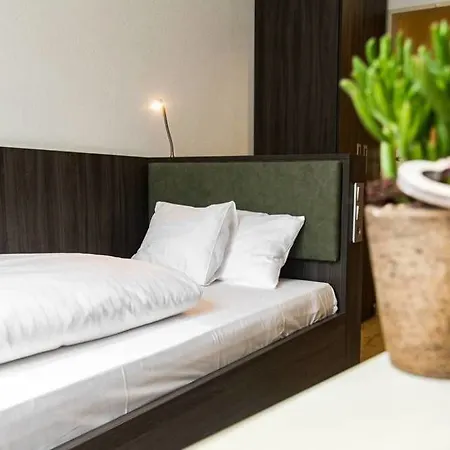 Insel-hotel-lindau מלון לינדאו